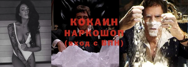 прущие грибы Аркадак