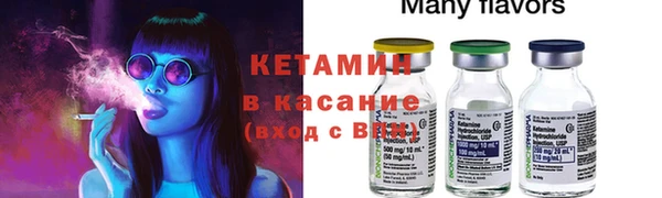 прущие грибы Аркадак
