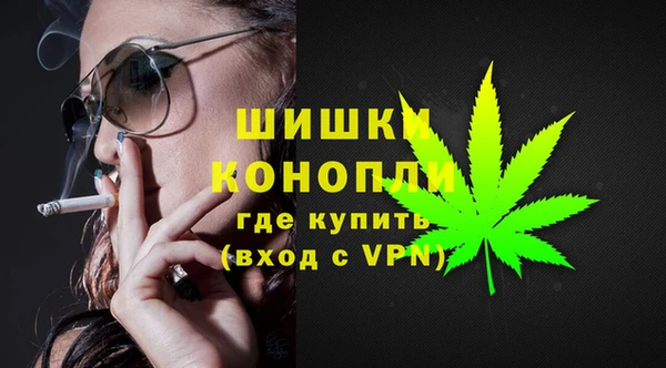 прущие грибы Аркадак