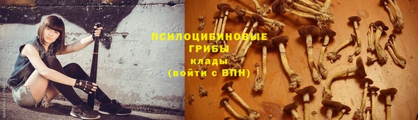 тгк Алексин