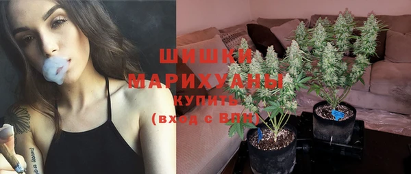 прущие грибы Аркадак